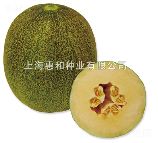 �¹��ܶ�̖(h��o)-��ϷN��-�ݺͷN�I(y��)