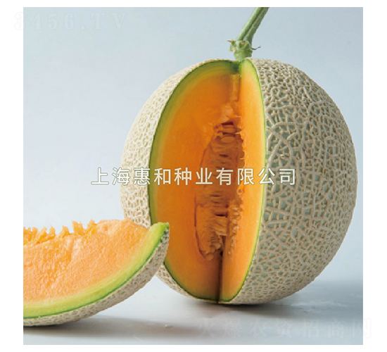 �ۼt-��ϷN��-�ݺͷN�I(y��)