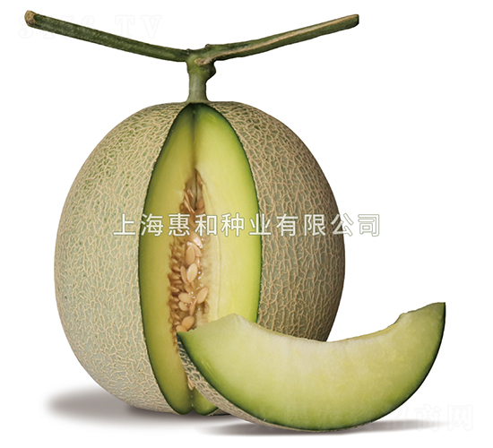 ����-��ϷN��-�ݺͷN�I(y��)