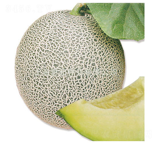 �Ę�-��ϷN��-�ݺͷN�I(y��)