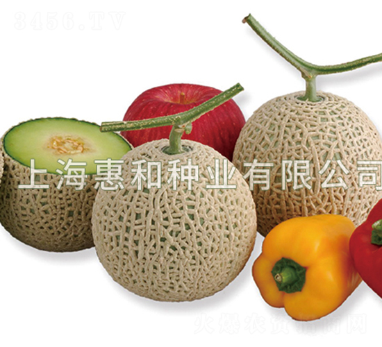 �����W-��ϷN��-�ݺͷN�I(y��)