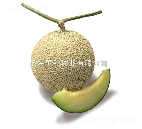 ����867-��ϷN��-�ݺͷN�I(y��)