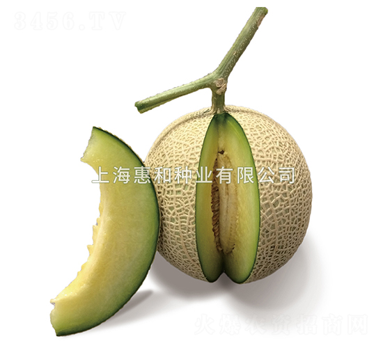 ����806-��ϷN��-�ݺͷN�I(y��)