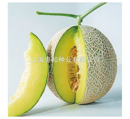 �۾G-��ϷN��-�ݺͷN�I(y��)