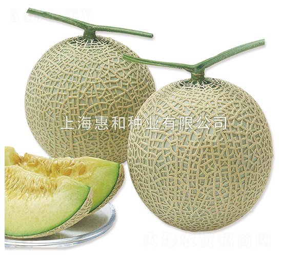 ����˹-��ϷN��-�ݺͷN�I(y��)