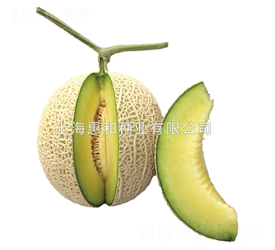 ��ɫ����-��ϷN��-�ݺͷN�I(y��)