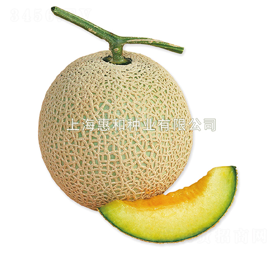 �ظ�-��ϷN��-�ݺͷN�I(y��)