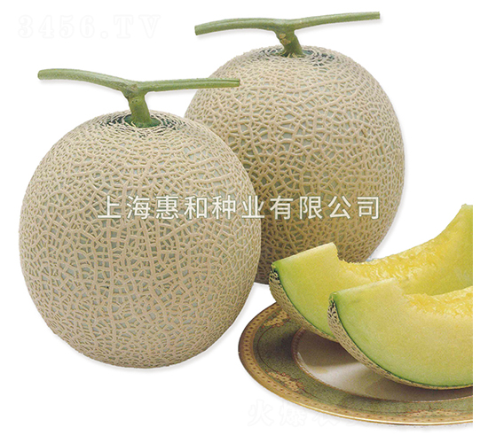 ����-��ϷN��-�ݺͷN�I(y��)