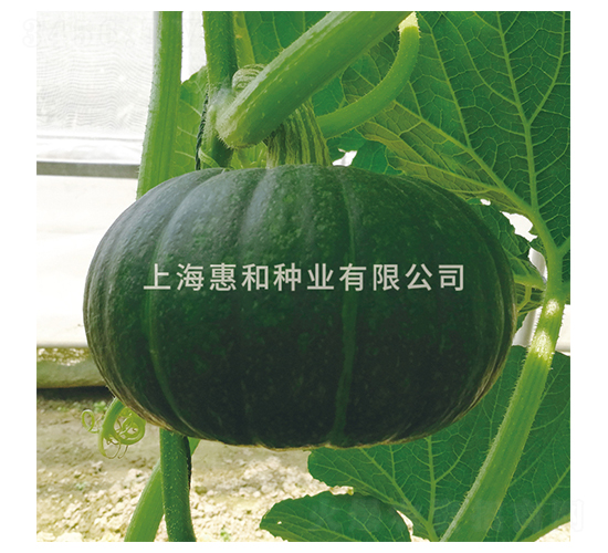 ⏳��\-�ϹϷN��-�ݺͷN�I(y��)