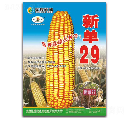 ��29-���׷N��-��ʥ��