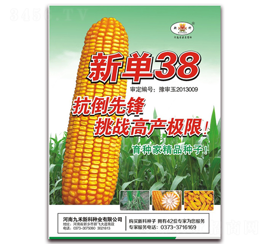 ��38-���׷N��-��ʥ��