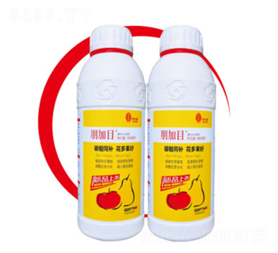 ���f��Һ-���Ŀ-���{��