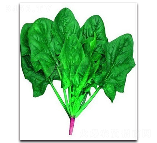 �ձ����ܲ���-���˷N��-�(y��u)�r(n��ng)�I(y��)