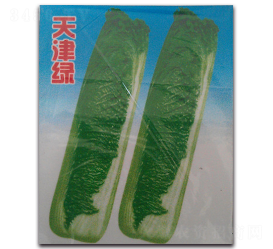 ���G-�ײ˷N��-�(y��u)�r(n��ng)�I(y��)