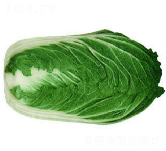 �(y��u)�߿�-�ײ˷N��-�(y��u)�r(n��ng)�I(y��)