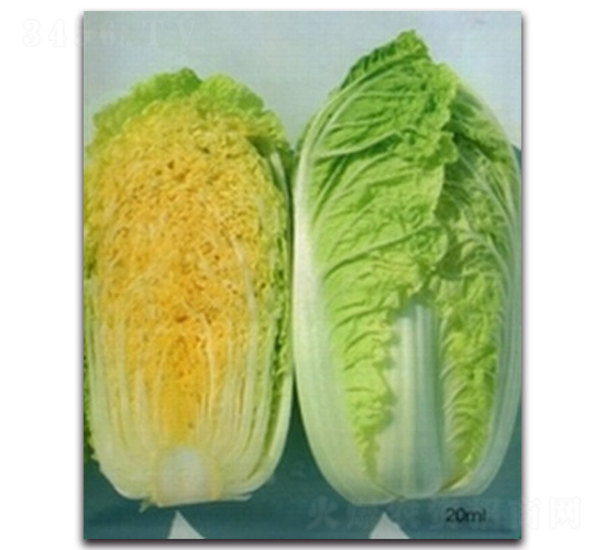 ���޲�-�ײ˷N��-�(y��u)�r(n��ng)�I(y��)