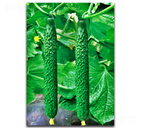 ��������һ̖-�S�ϷN��-�(y��u)�r(n��ng)�I(y��)