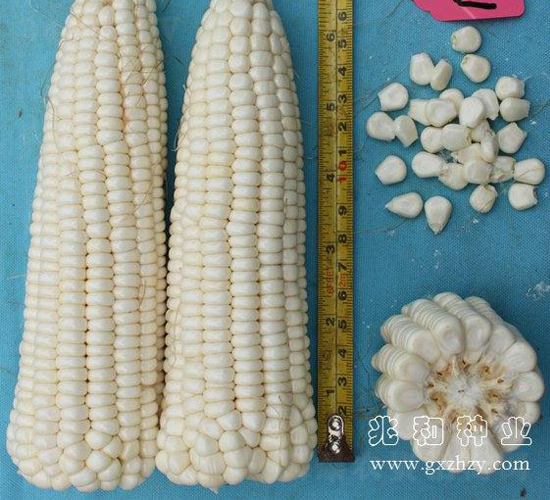 ����Ŵ3̖(h��o)-���׷N��-�׺ͷN�I(y��)