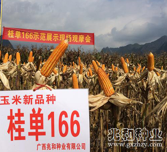 ����166-���׷N��-�׺ͷN�I(y��)