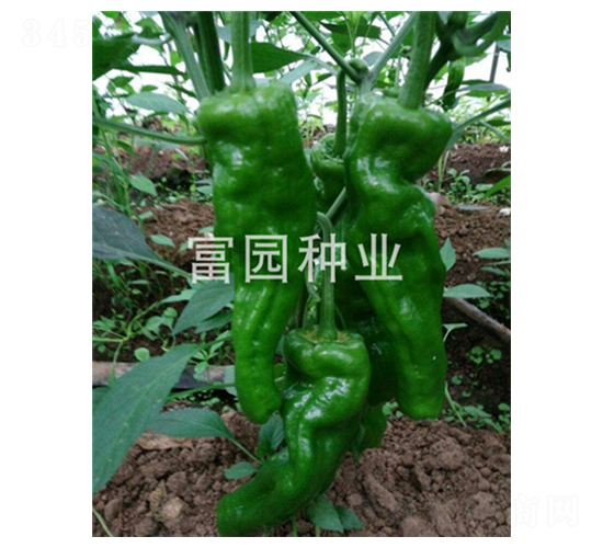 �G�S10-�ݽ��N��-���@�N�I(y��)