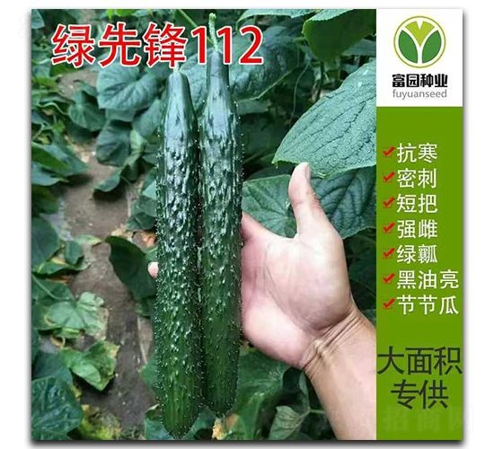 �G���h112-�S�ϷN��-���@�N�I(y��)