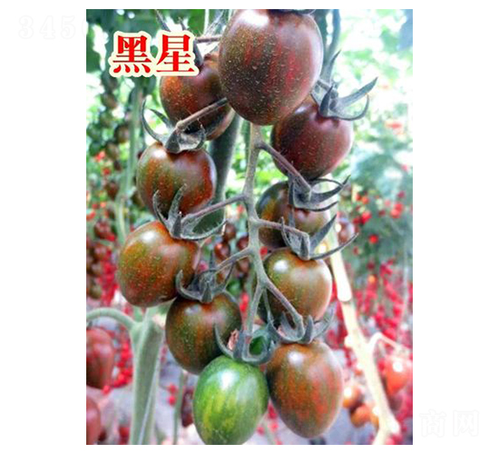 ����-���ҷ��ѷN��-���@�N�I(y��)