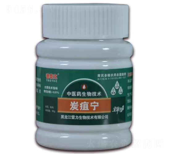 ̿�Ҍ�-��̩��-��������