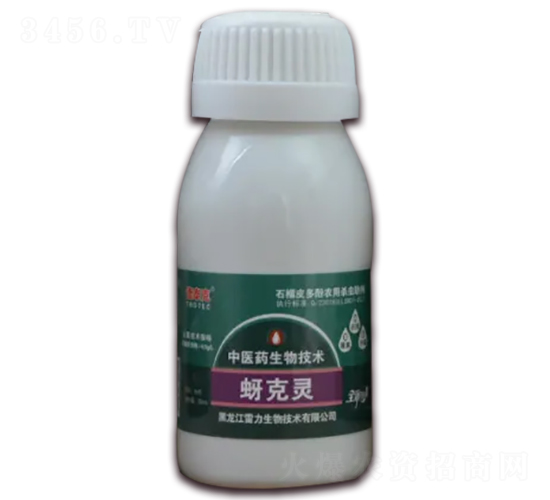 �����`-��̩��-��������