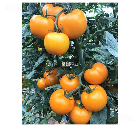 ��ȭ1̖(h��o)-���ѷN��-���@�N�I(y��)