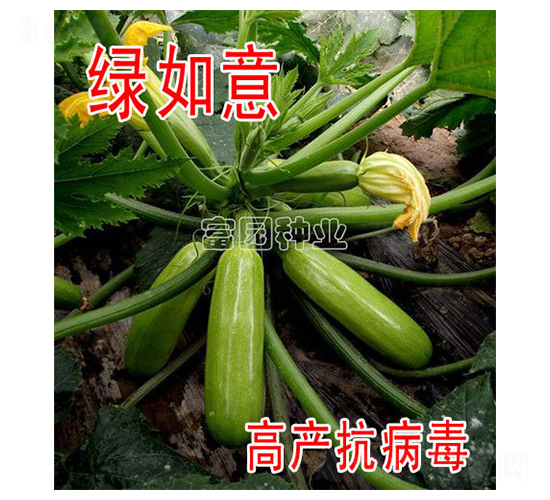 �G����-�����J�N��-���@�N�I(y��)