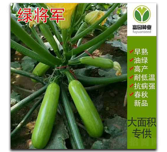 �G��܊-�����J�N��-���@�N�I(y��)