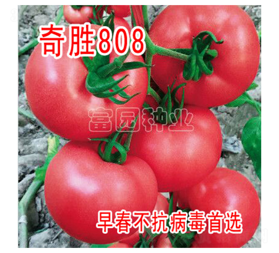 ���808-���ѷN��-���@�N�I(y��)