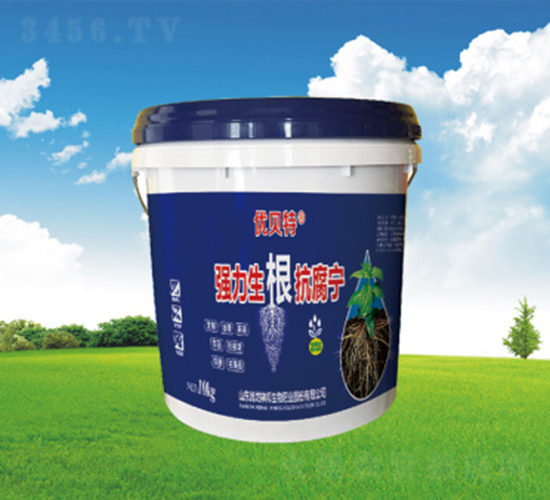 ��(qi��ng)������������-�������