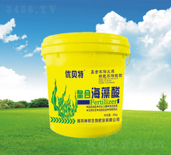 ���Ϻ�����-��(y��u)ؐ��-�������