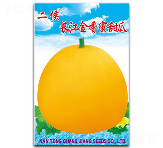 �L(zh��ng)��������-��ϷN��-�L(zh��ng)���N��