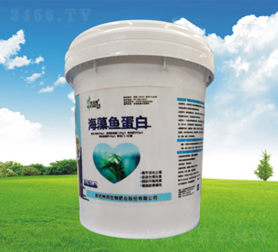 �����~����Ͱ��-�������