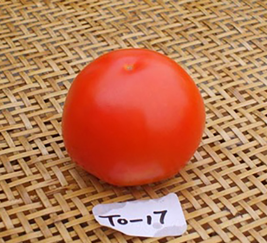 �f(w��n)����17-���ѷN��-�L(zh��ng)���N��