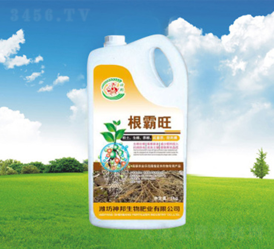 ������Ͱ��-�������