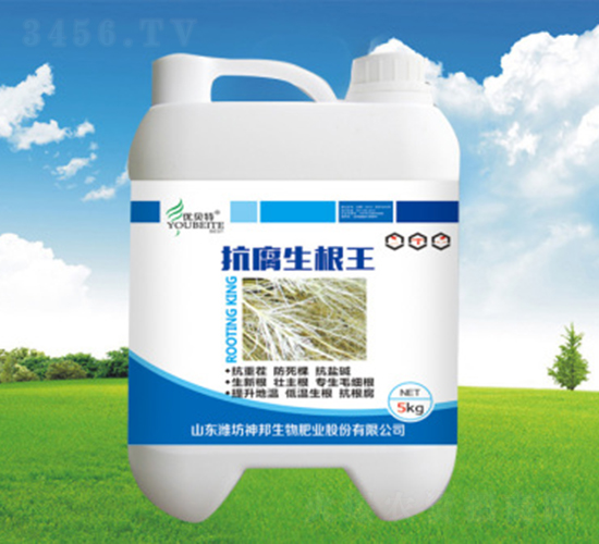 ����������-�������