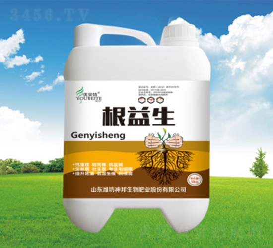 ������-�������