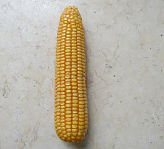 �L����8̖-���׷N��-�L���N��