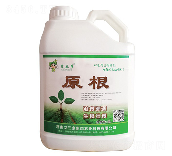 ԭ��-������