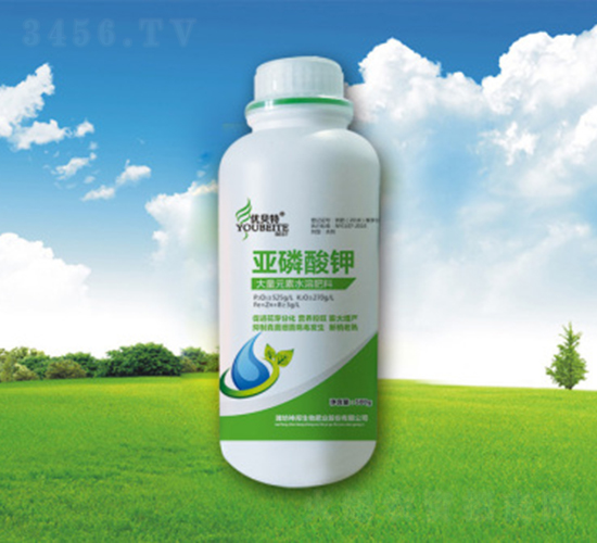 �������-�������