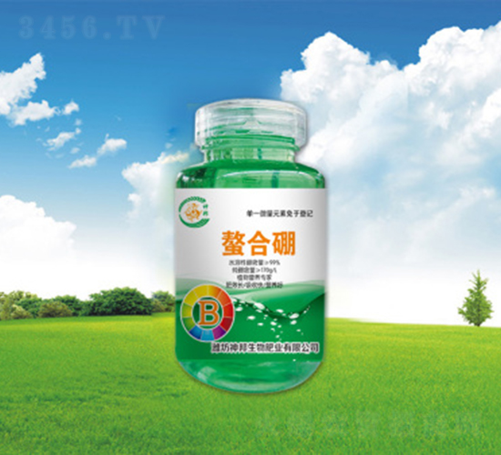 �������-�������