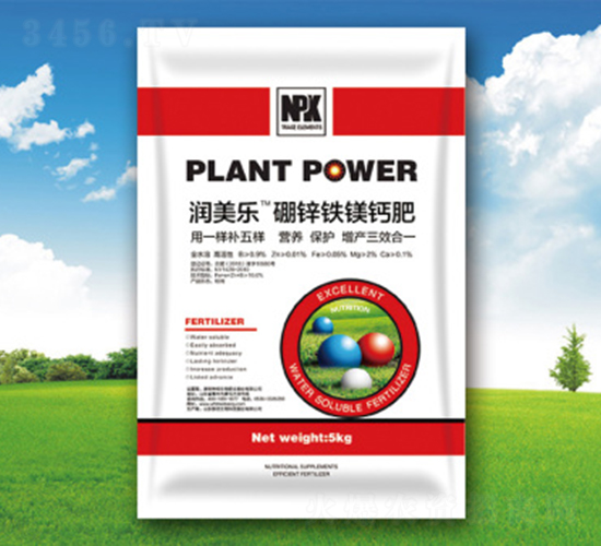 ���\�F�V�}��-�������