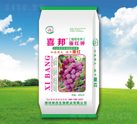 �߼t⛛_ʩ��-�������