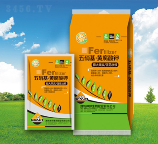 ������-�S�����-�������