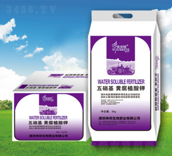 �������S�����-�������