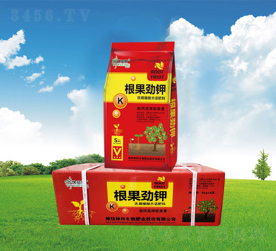 �������-�������