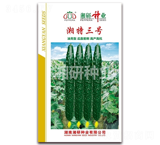 ������̖(h��o)-�S�ϷN��-���зN�I(y��)